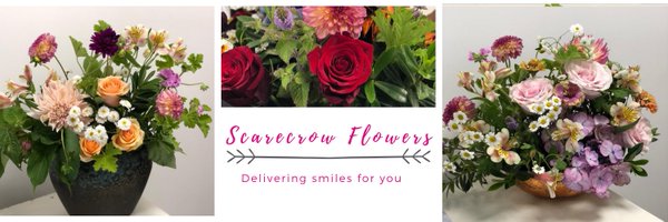 scarecrowflower Profile Banner
