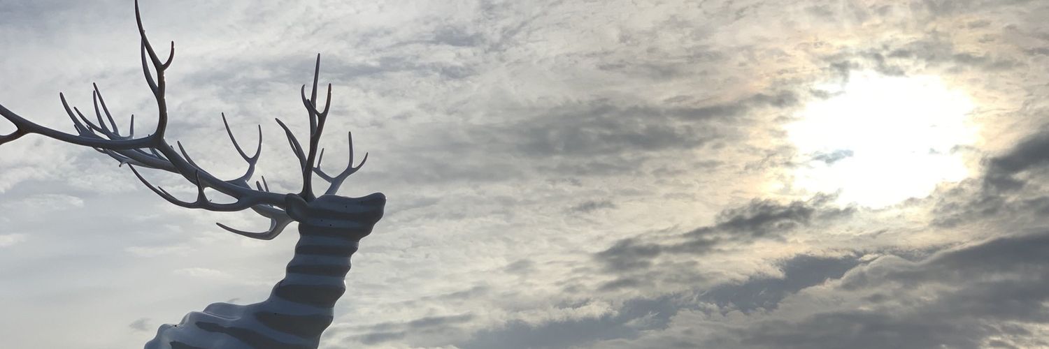 syrotug's profile banner image