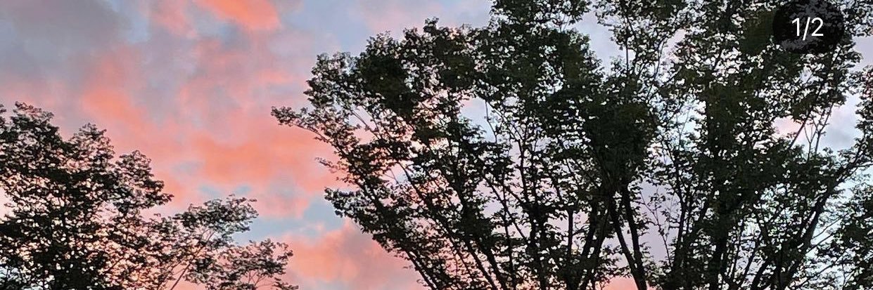 Eshemokhaicaleb's profile banner image