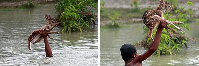 Restoring Your Faith in Humanity banner