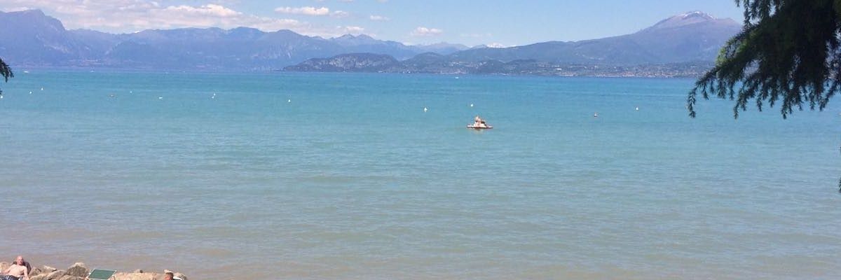 Reinigert's profile banner image
