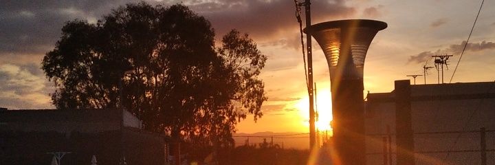 Angeloide banner