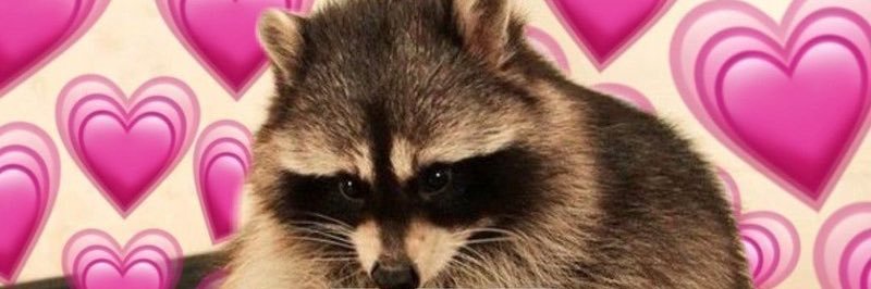 Nessaa_Jordan's profile banner image