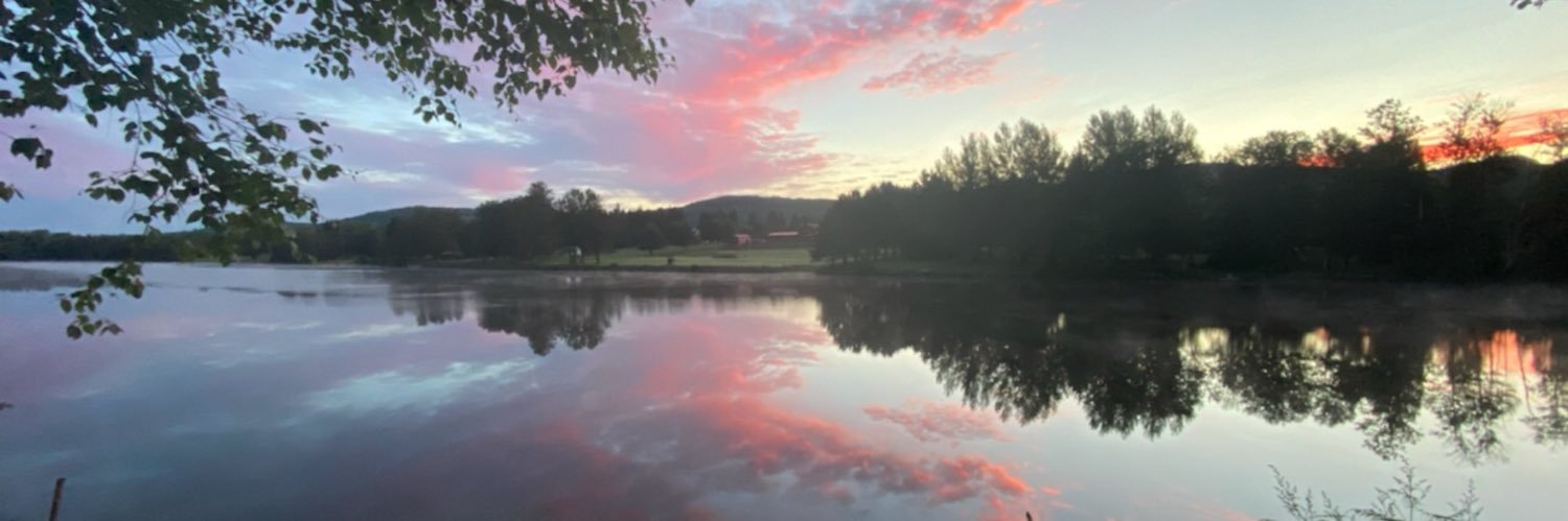Lilywil's profile banner image
