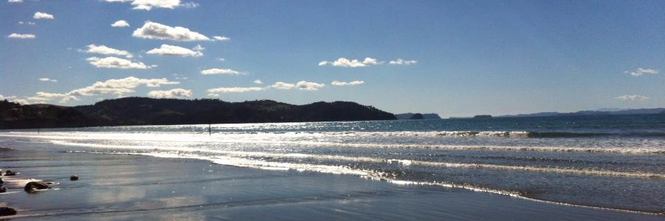Big_pete84's profile banner image