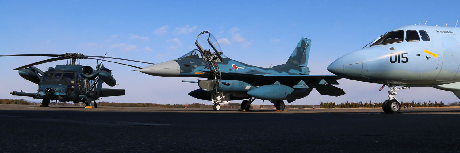 航空自衛隊百里基地's banner