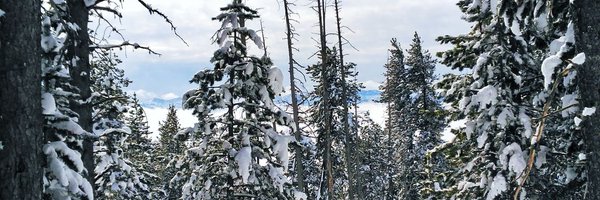 AnnaTorralbaCon Profile Banner