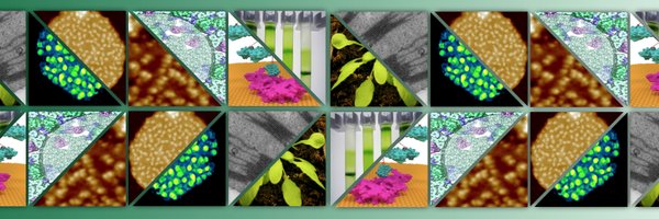 Johnson_mattp Profile Banner