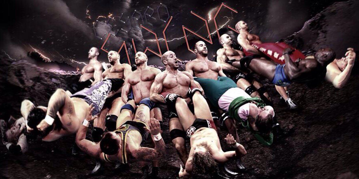 VoiceofWWEFans's profile banner image