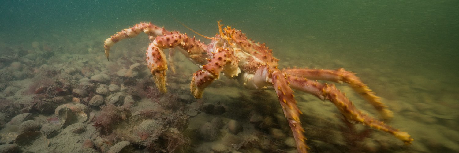 Bárbara Saavedra banner
