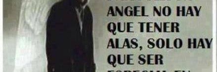 paloma g dirvas banner