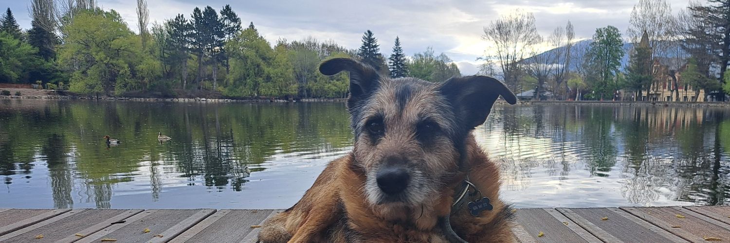 🐶🐶🐶🐶Joan Besson banner