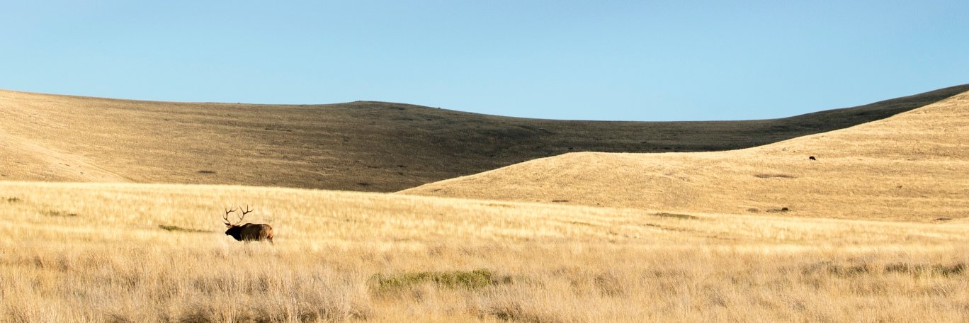 OttoRen's profile banner image