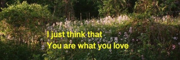 _aunthippie_ Profile Banner