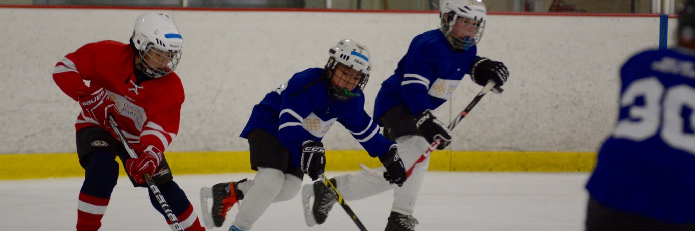 rlacmetros's profile banner image