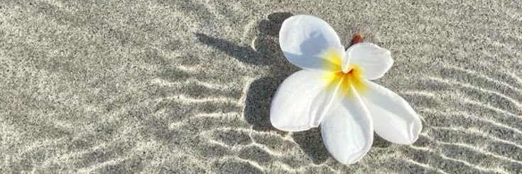 phroditely's profile banner image