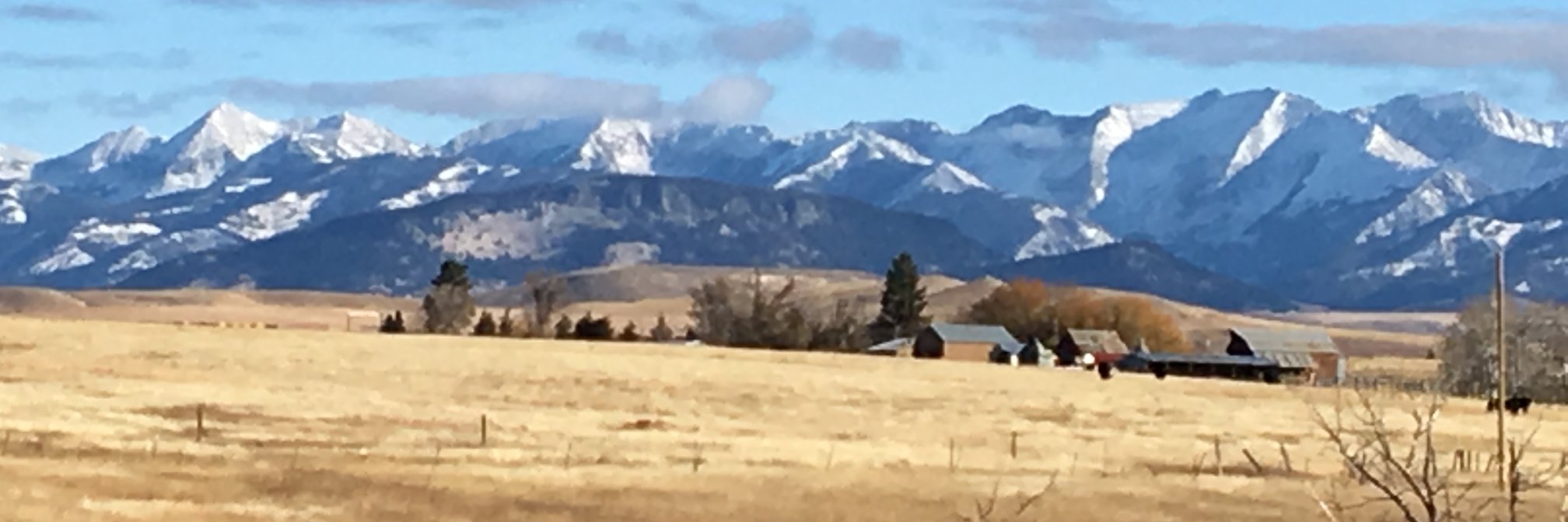Mandrefski's profile banner image