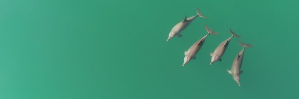 _StephanieLKing Profile Banner