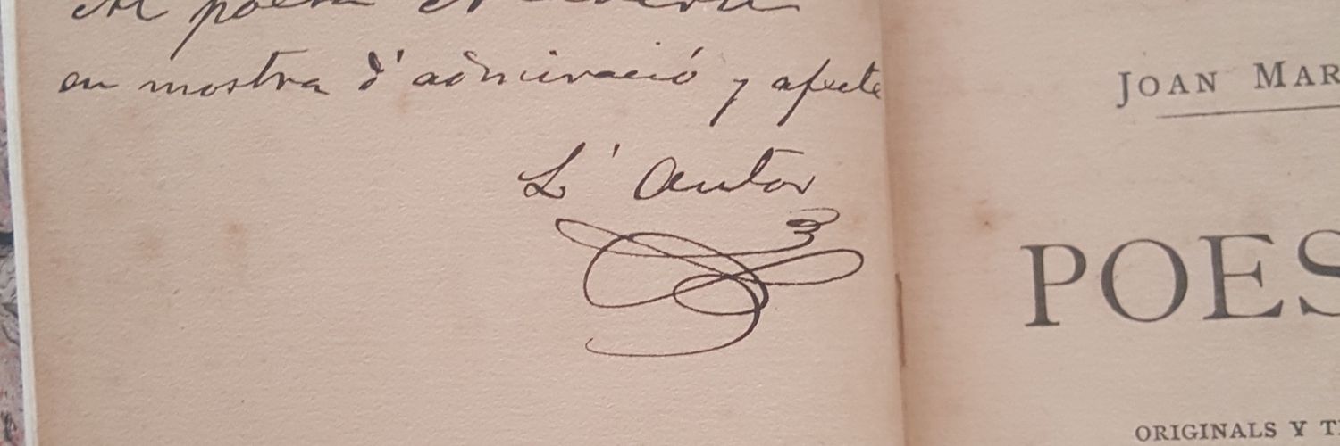 Revista Haidé banner