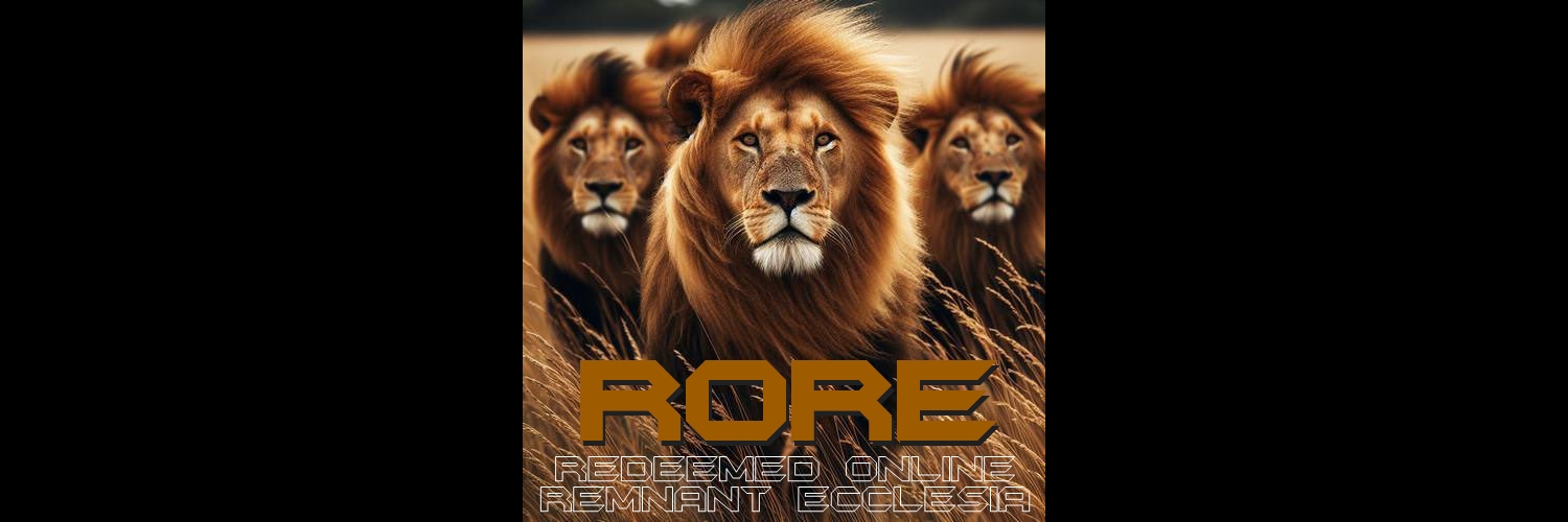 David D aka Batman4Israel banner