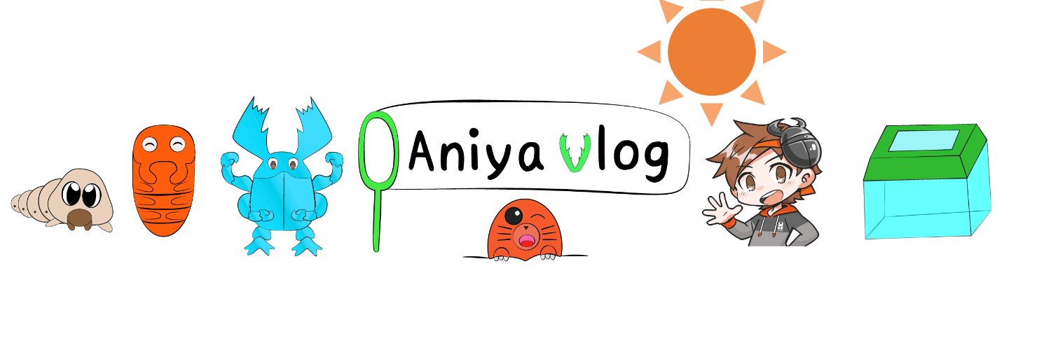 あにや@クワガタブリーダー banner