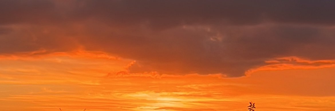 puunshon's profile banner image