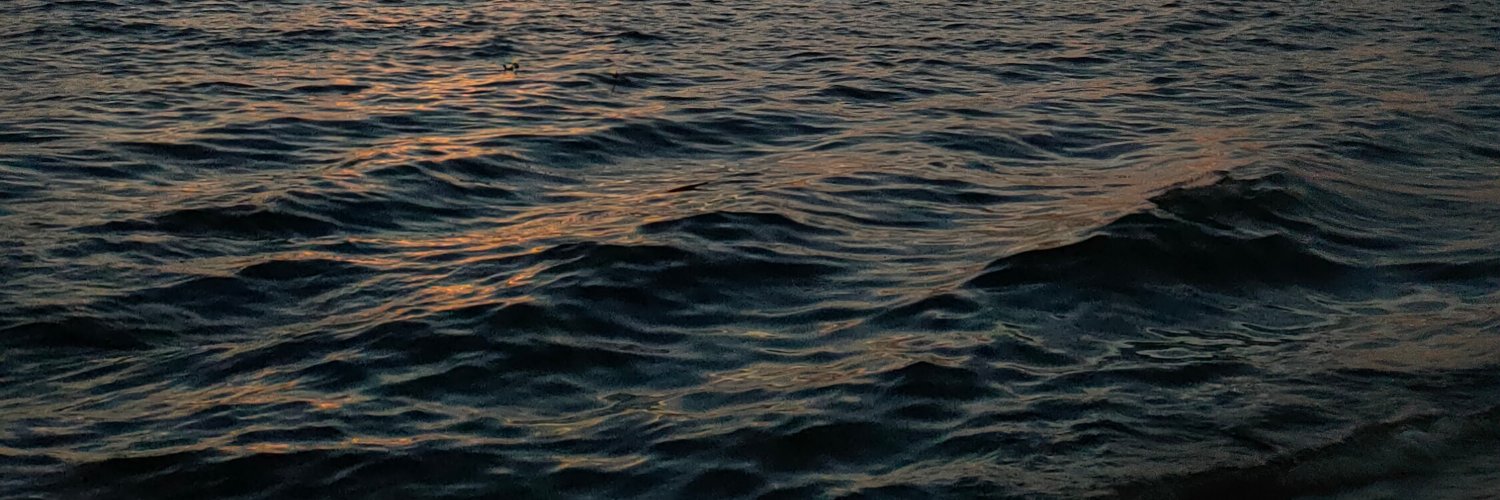 ⋆｡ﾟ☁︎🦁✦🚀ﾟ｡⋆ banner