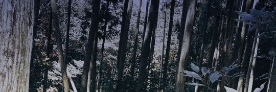 _ncmilk's profile banner image