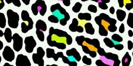 eeva_17's profile banner image