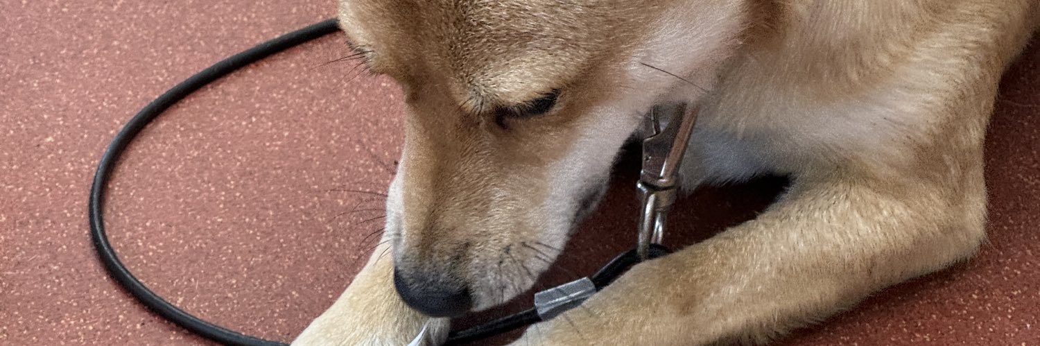 kom_kote's profile banner image