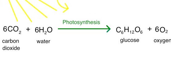 brad von blon banner