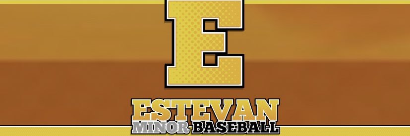 EMB Baseball banner
