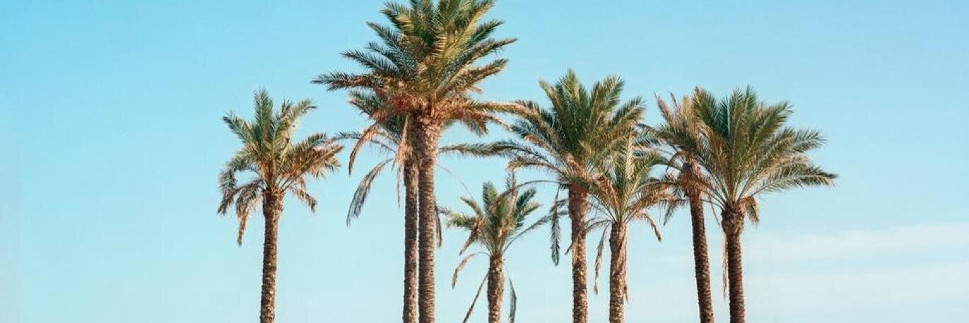 patrickduever banner