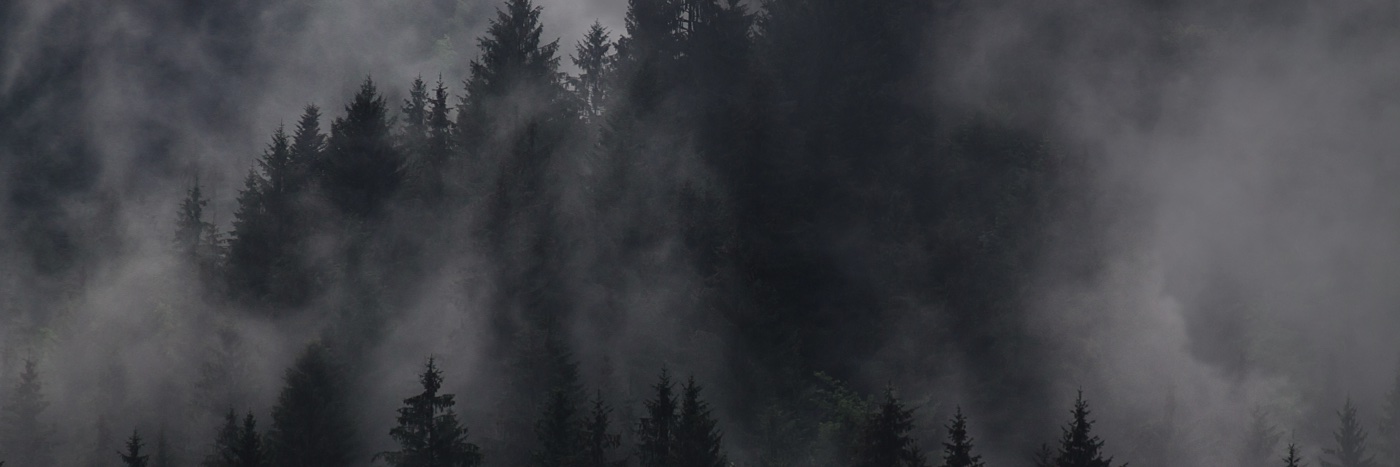 miriberry1's profile banner image