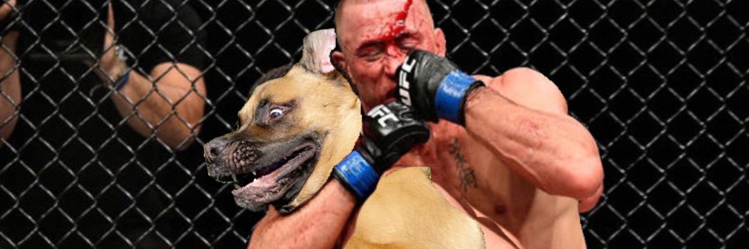 zach_mccloskey's profile banner image