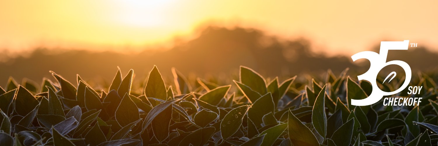 Soy Checkoff banner