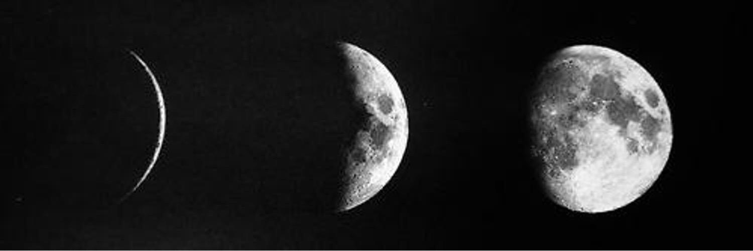 _AliTweets's profile banner image