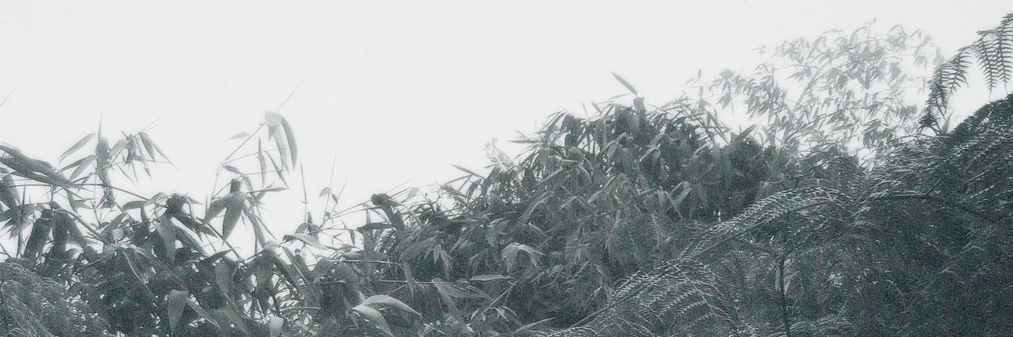 MarcoJJohan's profile banner image