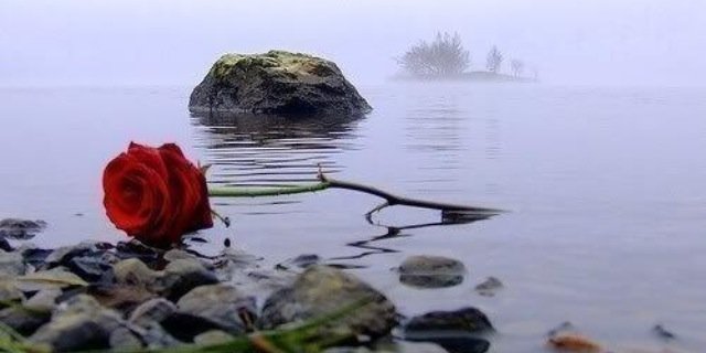 dmf7777's profile banner image