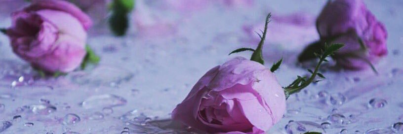 azam012's profile banner image