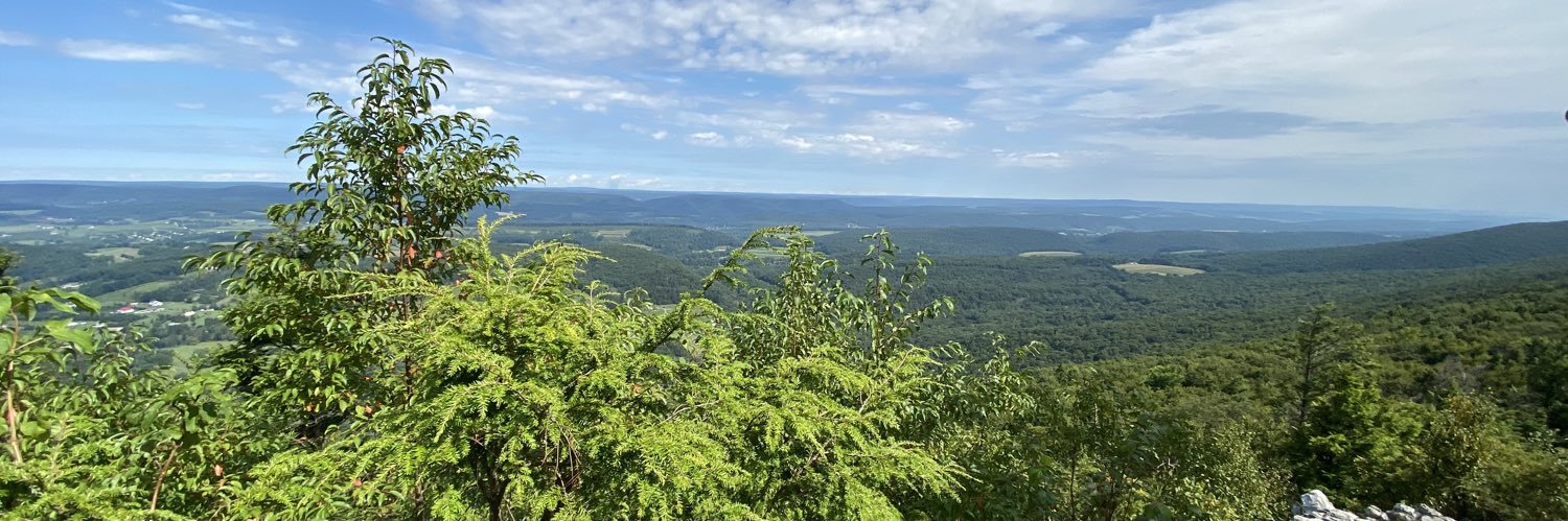 Ok2021HereWeGo banner