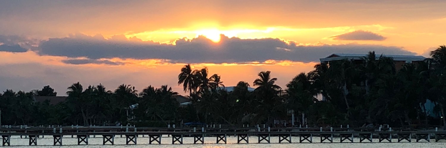 JoyParcells's profile banner image