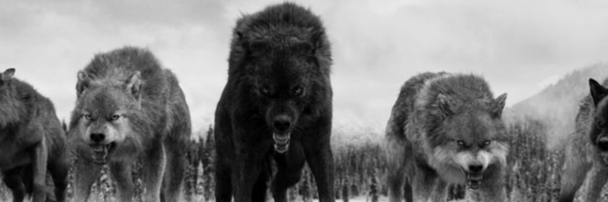 treday875's profile banner image