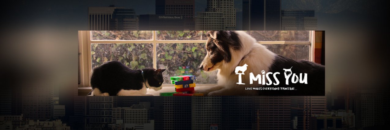 Ramesh Vijayan banner