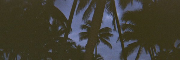 lustfund Profile Banner