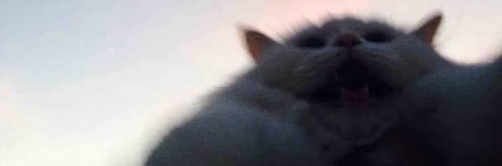 G banner