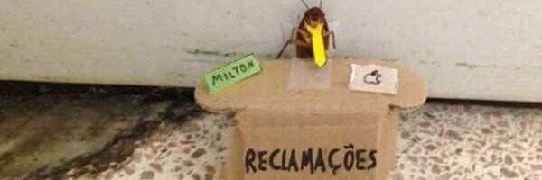 nayaraxavier_'s profile banner image