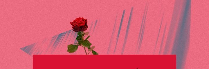 BrenoIDK's profile banner image
