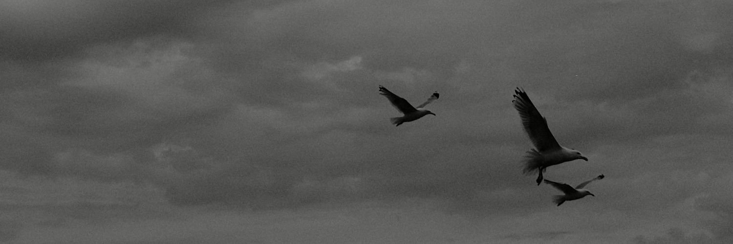 matthefish2012's profile banner image