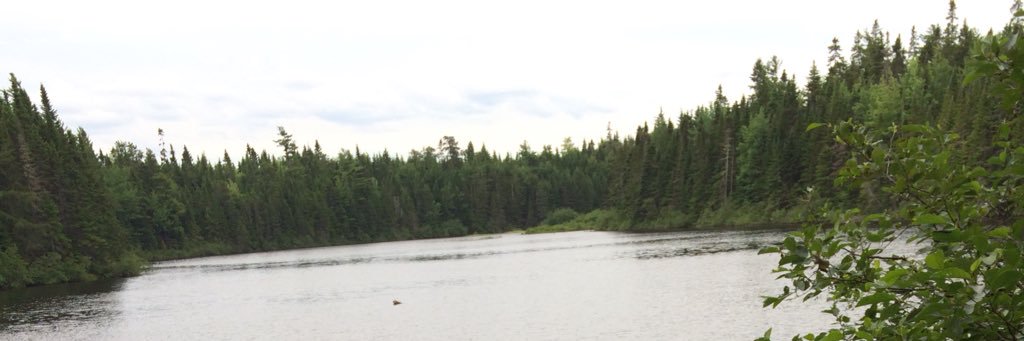Jen Kane banner